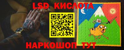 прущие грибы Гатчина