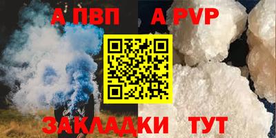прущие грибы Гатчина