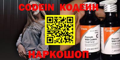 прущие грибы Гатчина