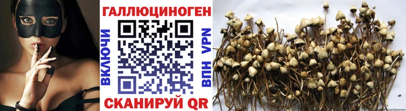 KRAKEN зеркало  Тобольск  Псилоцибиновые грибы GOLDEN TEACHER 