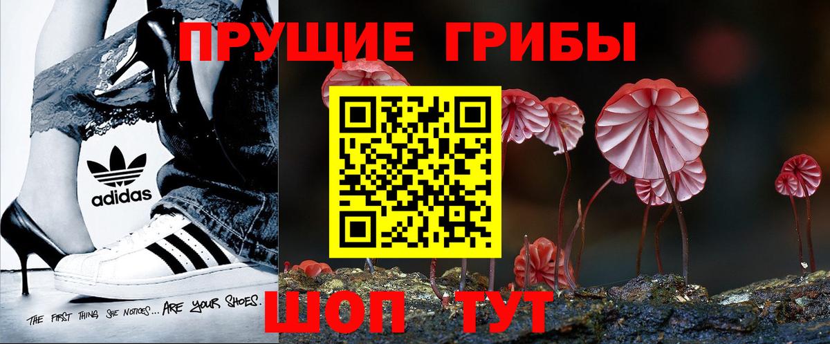 Псилоцибиновые грибы ЛСД Тобольск